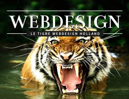 Heeft u vragen of wilt u meer informatie over Webdesign Holland?