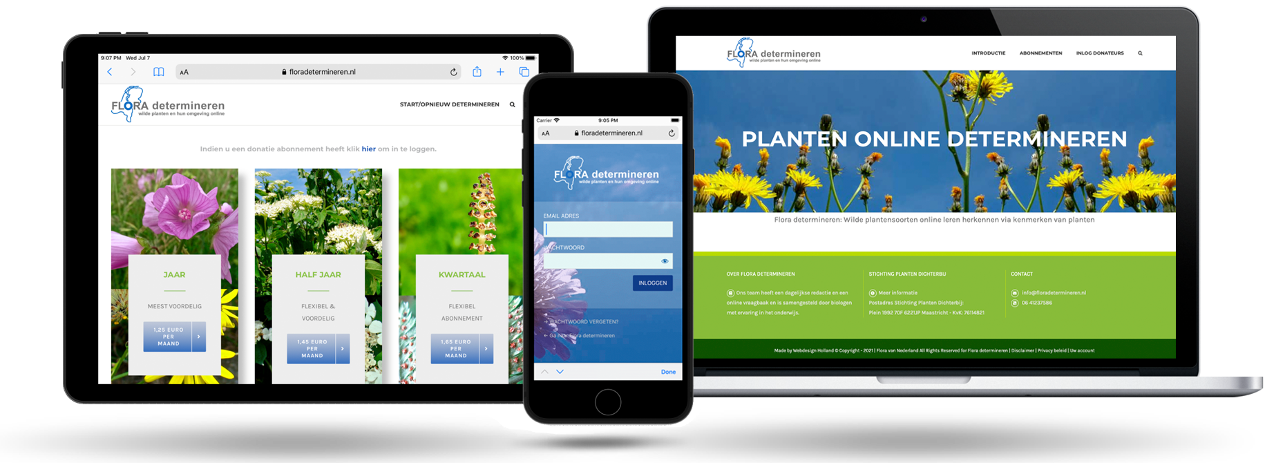 Webdesign Holland voor determineren van Flora in Nederland
