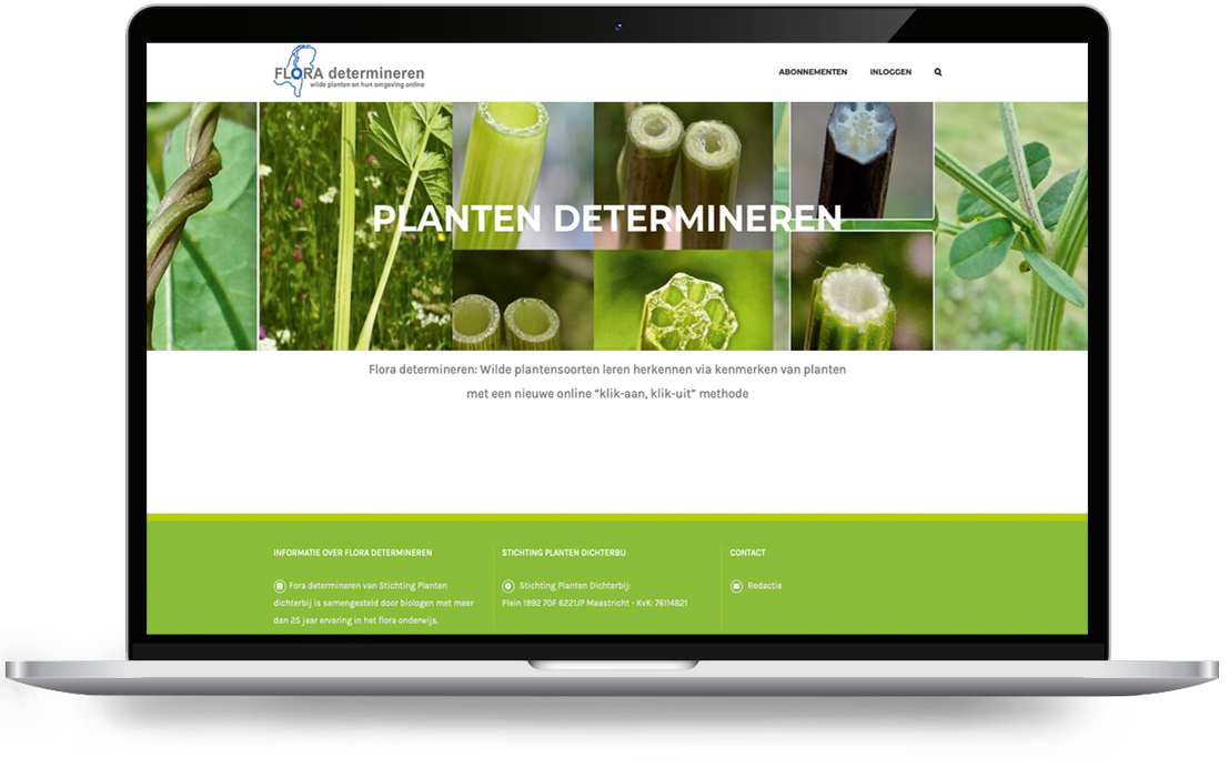 floradetermineren par webdesign holland - LeTigre Webdesign Holland Capture d'écran de l'en-tête d'un site web intitulé « Flora Determineren », comportant un collage d'images de plantes sur lequel est superposé le titre « PLANTEN DETERMINEREN », ainsi qu'un pied de page vert en dessous.
